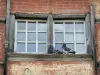La Châtre - Pigeons sitting on the windowsill