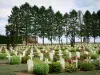 Chemin des Dames - Graven van de Franse militaire begraafplaats in Cerny-en-Laonnois