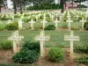 Chemin des Dames - Graven van de Franse militaire begraafplaats in Cerny-en-Laonnois