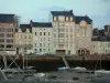Cherbourg-Octeville - Mouettes (oiseaux marins) en premier plan, bateaux de plaisance amarrés (port) et bâtiments de la ville