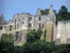 Chinon - Castillo (fortaleza medieval)