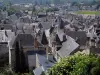 Chinon - Vista de los tejados de las casas