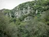 Chouvigny gorges - Sioule gorges: rock faces and trees