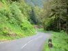 Cirque of Le Falgoux - Parc Naturel Régional des Volcans d'Auvergne: road lined with trees