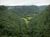 Cirque de Ladoye - Du belvédère, vue sur le cirque