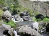 Cirque de Mafate - Piedras de río puntuadas