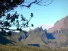 Cirque de Mafate - Vista de los relieves del circo natural, con las ramas de un árbol en primer plano