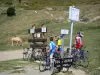 Col d'Aspin pass - Cyclists pausing at the Col d'Aspin mountain pass (in the Pyrenees), sign indicating the altitude of the pass (1490 meters), cow and pastures in the background