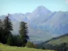 Col d'Aspin pass - From the pass, view of the surrounding trees and Pyrenees mountains