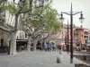 Collioure - Boulevard du Boramar, avec ses platanes, ses lampadaires et ses terrasses de cafés, et façades colorées de la vieille ville