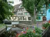 Colmar - Pequeña Venecia: el puente sobre el río adornado (Desarolla) y casas de madera con fachadas de colores