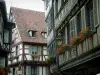 Colmar - Casas de madera con ventanas decoradas con geranios (flores)