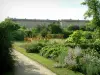 Compiègne - Jardín (parque), el castillo, con plantas, flores, árboles y arbustos, la fachada del castillo en el fondo