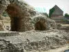 Conduzindo - Sítio antigo: vestígios da era galo-romana