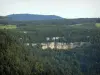 Consolation rock formations - Rock faces (cliffs) and forest (trees)