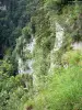 Consolation rock formations - Cliff (rock face), vegetation and trees