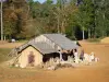 Construcción medieval de Guédelon - Taller de canteros