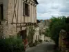 Cordes-sur-Ciel - Calle en cuesta empedrada, con flores, plantas, casas de estructura de madera y cielo nublado