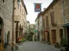 Cordes-sur-Ciel - Paved street in the upper town (medieval town) with its stone houses and facades decorated with forged iron shop signs, its workshops (shops), its flowers and its plants