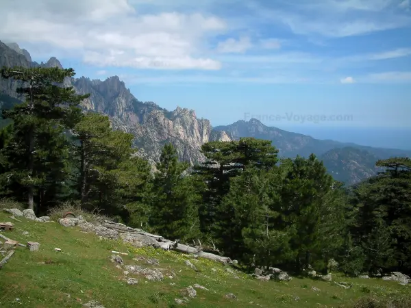 The Corsica Nature - Tourism Holiday Guide