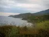 Corsican Cape - Wild flowers and hills of the coast dominating the sea