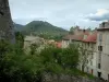 Corte - Part of the citadel, trees, houses of the upper town and mountains far off