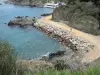 Costa Vermeille - Dé un paseo por el mar