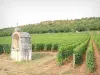 Côte de Beaune vineyards - Oratory surrounded by vines