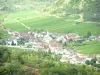 Côte de Beaune vineyards - Village of Saint-Aubin surrounded by vines and trees