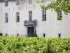 Côte de Beaune vineyards - Château de Savigny-lès-Beaune and vineyards