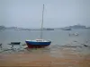Côte de granit rose - Plage de sable rose, algues, mer (la Manche) à marée basse avec voilier coloré, barque et bateau, puis rochers et côtes au loin