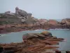 Côte de granit rose - Les Rochers de Ploumanac'h : côte recouverte de gros rochers de granit roses et mer (la Manche)