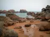 Côte de granit rose - Les Rochers de Ploumanac'h :sable rose, rochers de granit rose et mer (la Manche)