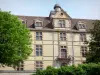 La Côte-Saint-André - Facade of the château Louis XI and trees