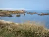 Cotentin coast - Caps road: ears in foreground, cliffs in the Channel (sea); landscape of the Cotentin peninsula