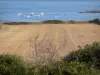 Cotentin coast - Caps road: field with view of the Channel (sea) and leisure boats; landscape of the Cotentin peninsula