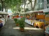 Cotignac - Cours Gambetta, bordeada de plátanos (árboles), el mercado provenzal