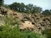 Cotignac - Tuff acantilado atravesado por las cuevas y los árboles