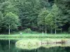 Couserans - Bethmale lago y arboladas de la costa con un pescador (de pesca) en el Parque Natural Regional de los Pirineos de Ariège, en el valle de Bethmale