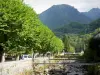 Couserans - Spa Aulus-les-Bains: ríos, árboles y montañas de la Couserans alta y, en el Parque Natural Regional de los Pirineos de Ariège, en el valle del Garbet