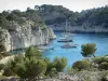 Creeks (Calanques) - Creeks (Calanques) massif lined with pines and sea where parked sailboats