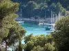 Creeks (Calanques) - Pine forest, sea and sailboats