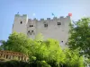 Crest - Torre medieval de Crest rodeada de vegetación