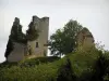 Crozant castle - Ruins (remains) of the fortress