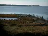 Cuenca de Marennes-Oléron - Oyster cuenca: la boca de la Seudre