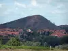 Cuenca minera - Árboles, casas y Bing