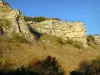 Cure valley - Cliffs of Saint-More