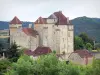 Curemonte - Castillos de Saint-Hilaire y Plas con vistas a las casas del pueblo