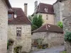 Curemonte - Alley y fachadas de piedra de la villa medieval