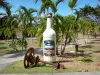 Damoiseau酿酒厂 - 贝尔维尤庄园，棕榈树和巨型朗姆酒瓶;在Le Moule市和Grande-Terre岛